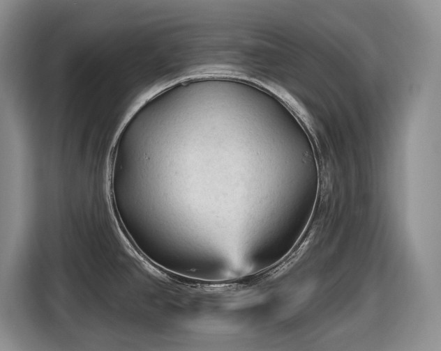 X0000116611390200912181157