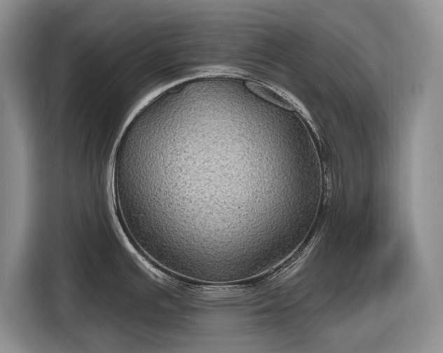 X0000116611391200912181157