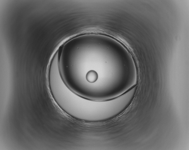 X0000116611392200912181157