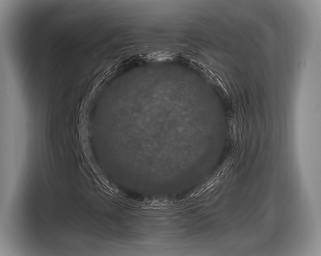 X0000116611393200912181157