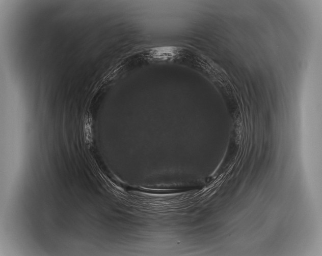 X0000116611394200912181157