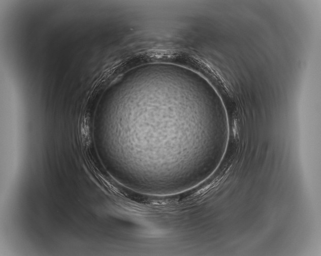 X0000116611396200912181157