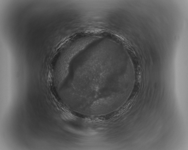 X0000116611397200912181157