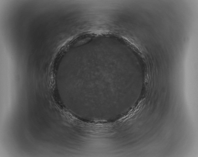 X0000116611398200912181157