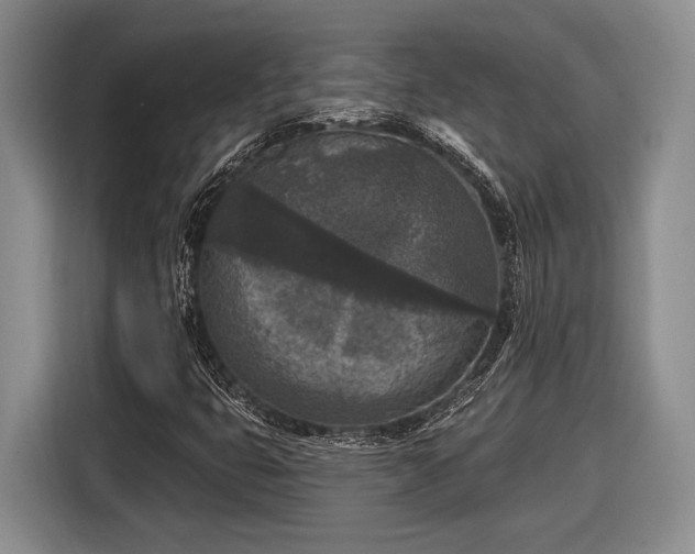 X0000116611399200912181157