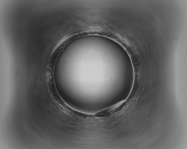X0000116611400200912181157