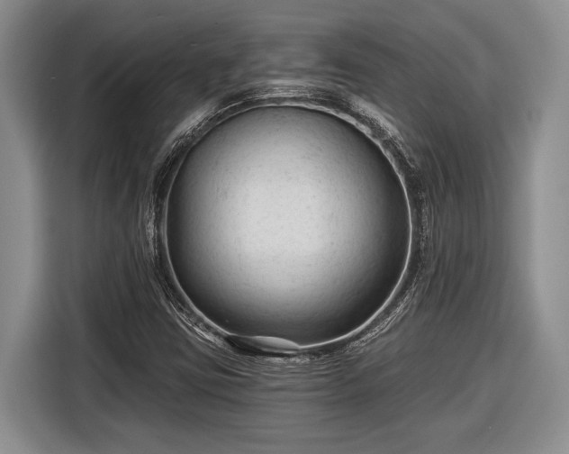 X0000116611403200912181157
