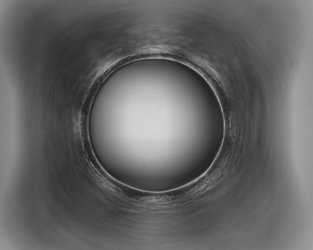 X0000116611404200912181157