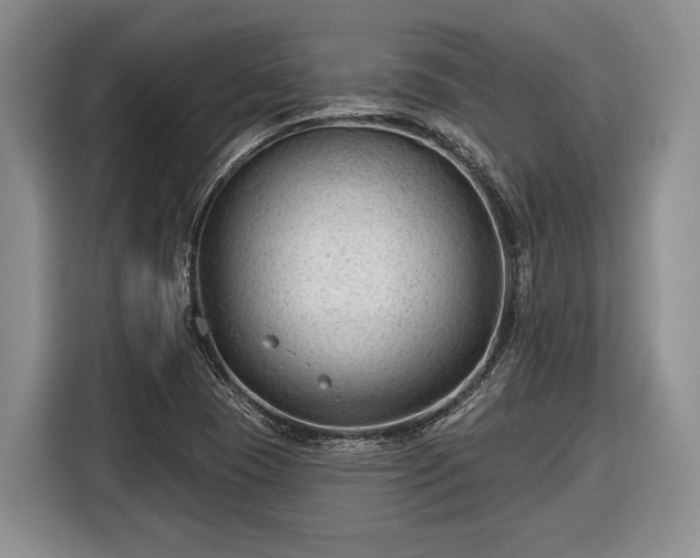 X0000116611409200912181157