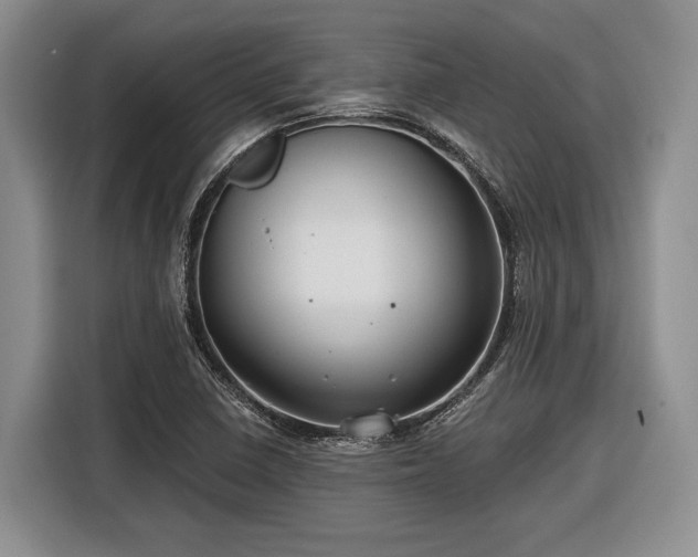 X0000116611410200912181157