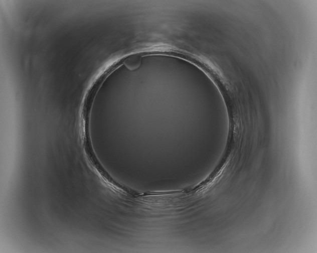 X0000116611414200912181157