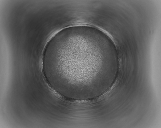 X0000116611415200912181157