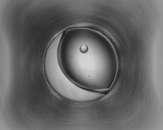 X0000116611417200912181157