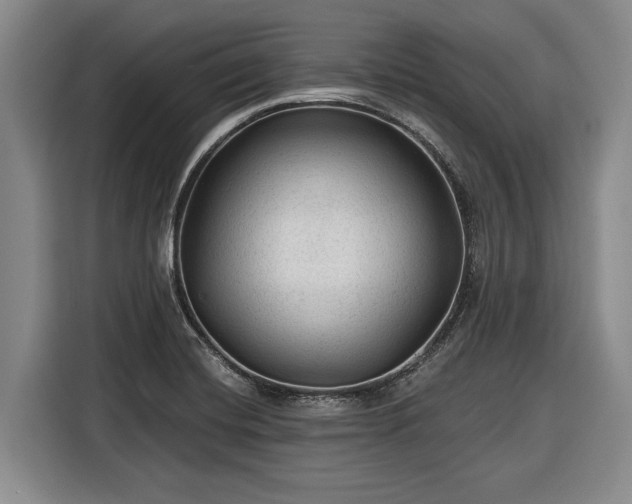 X0000116611420200912181157