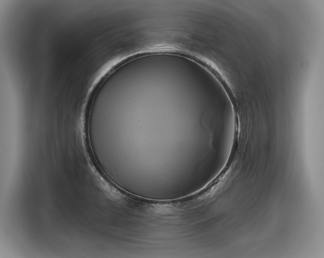 X0000116611422200912181157