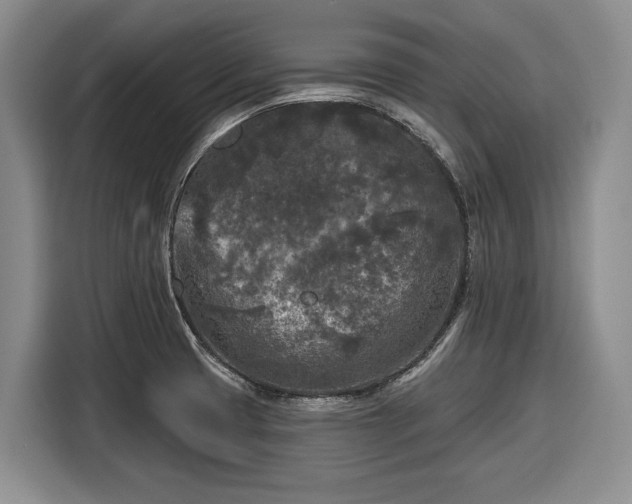 X0000116611425200912181157