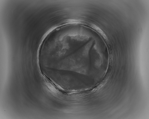 X0000116611427200912181157