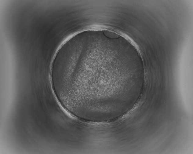 X0000116611429200912181157