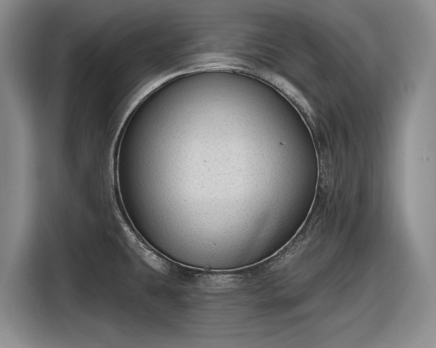 X0000116611431200912181157