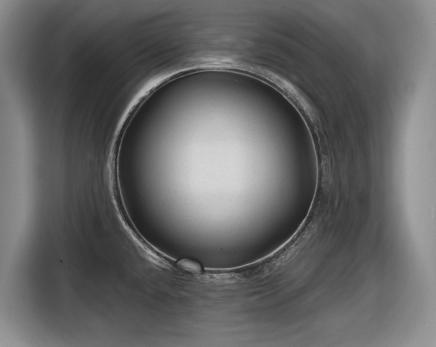 X0000116611432200912181157