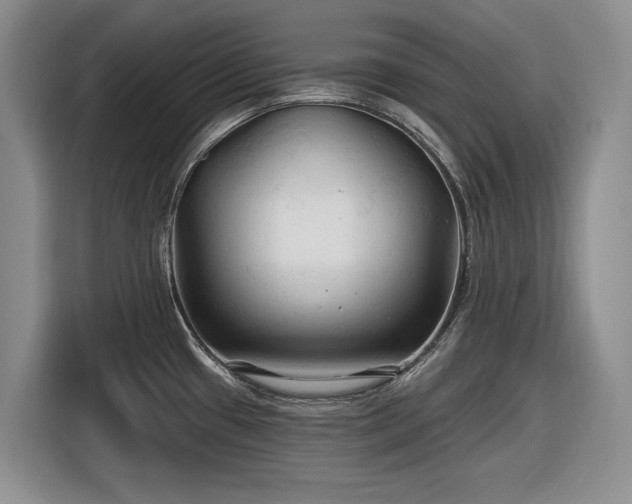 X0000116611433200912181157