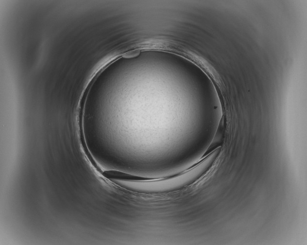 X0000116611434200912181157