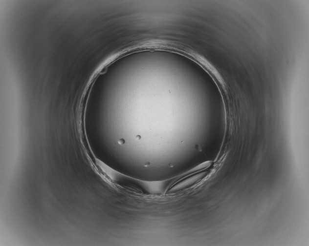 X0000116611437200912181157