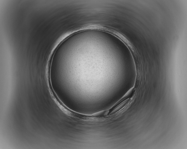 X0000116611438200912181157