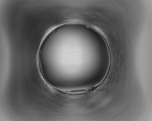 X0000116611440200912181157