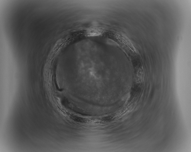 X0000116611441200912181157