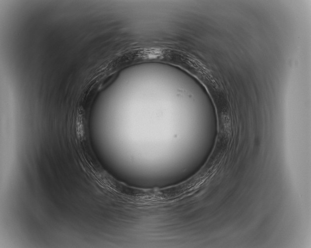 X0000116611442200912181157