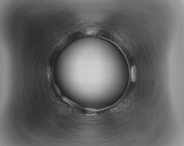 X0000116611443200912181156