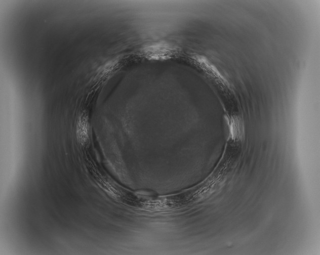 X0000116611444200912181156