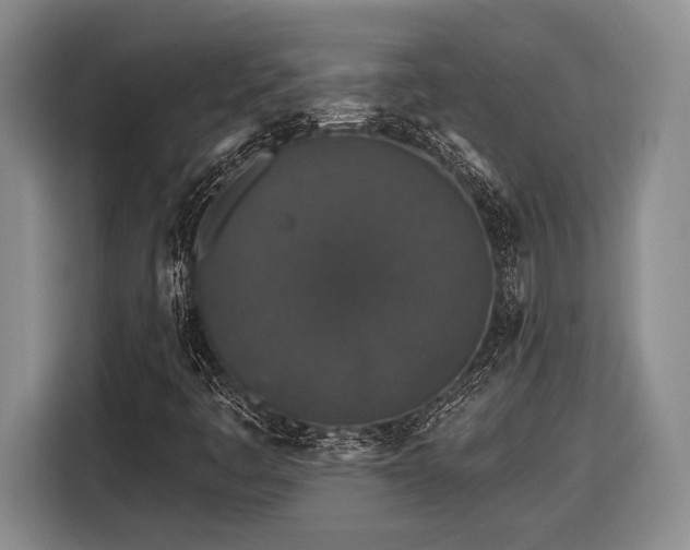 X0000116611445200912181156
