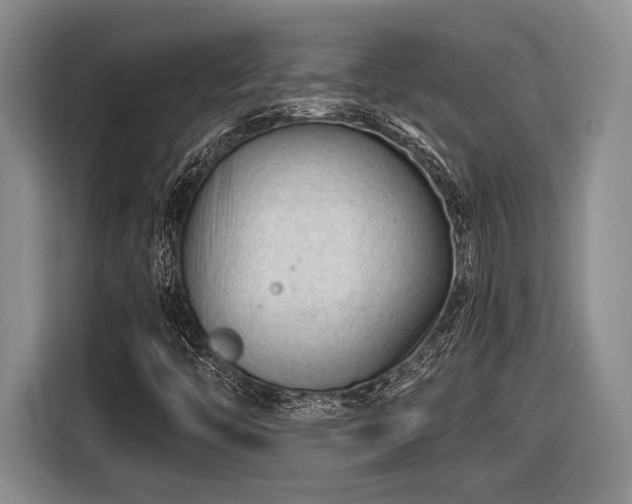 X0000116611446200912181156