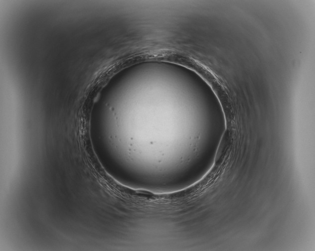 X0000116611447200912181156