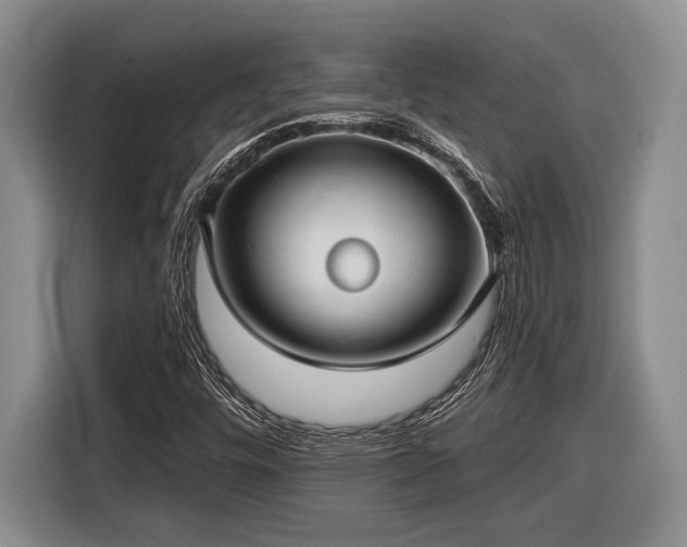 X0000116611448200912181156