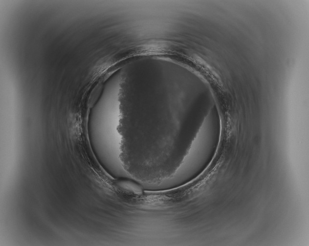 X0000116611449200912181156