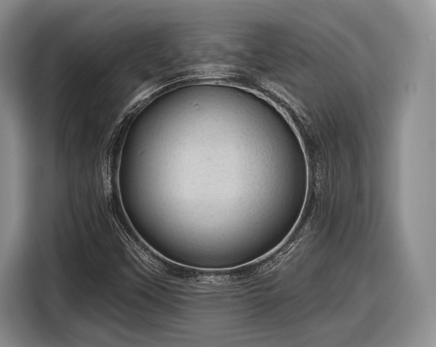 X0000116611451200912181156