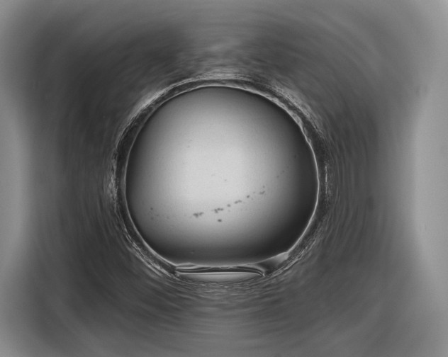 X0000116611452200912181156