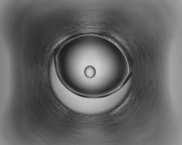 X0000116611453200912181156