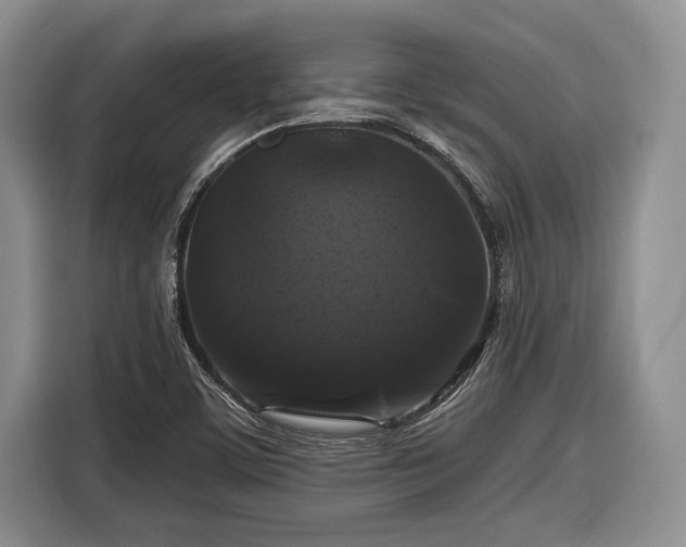 X0000116611459200912181156