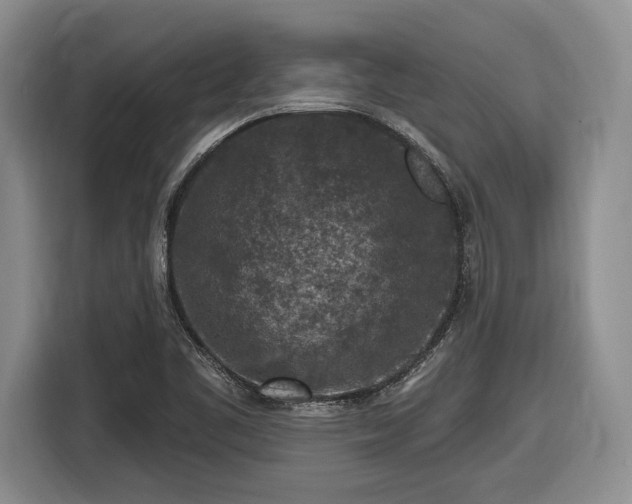 X0000116611461200912181156