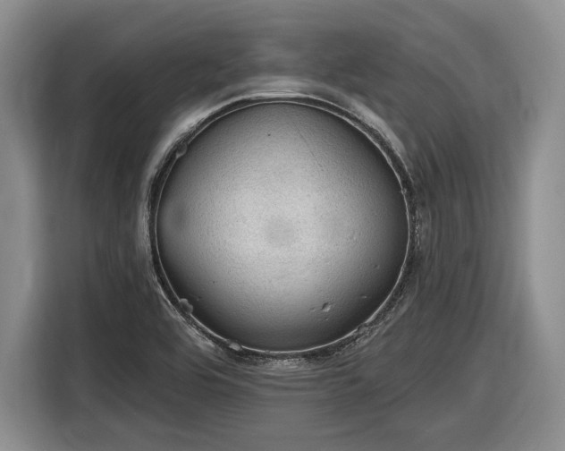 X0000116611464200912181156