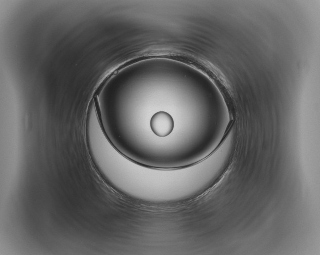 X0000116611465200912181156
