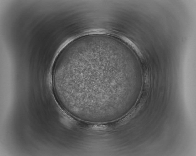 X0000116611466200912181156