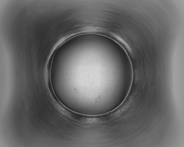 X0000116611467200912181156