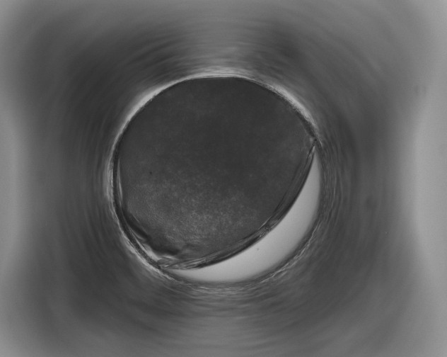 X0000116611468200912181156