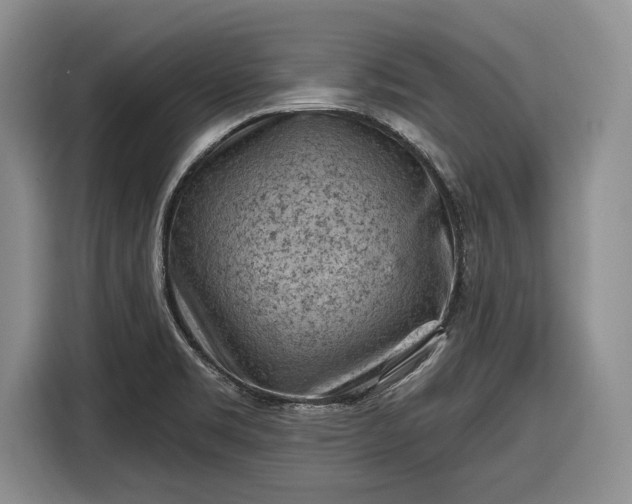 X0000116611469200912181156