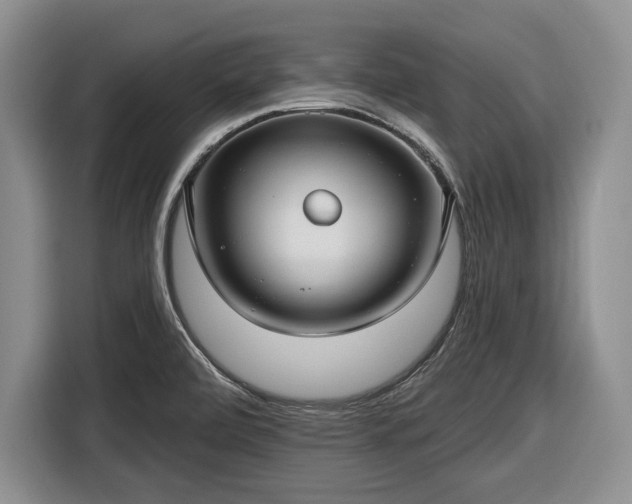 X0000116611472200912181156